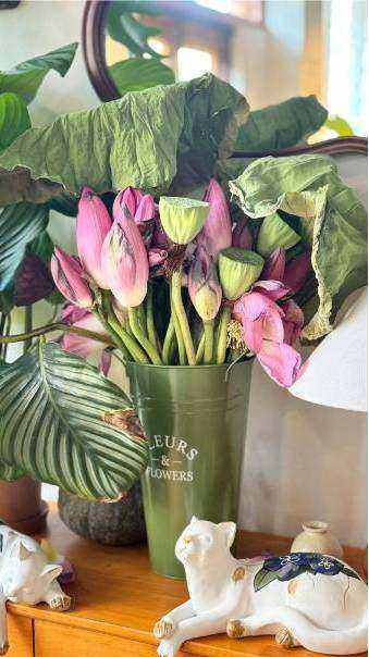 Bouquet delivery Australia