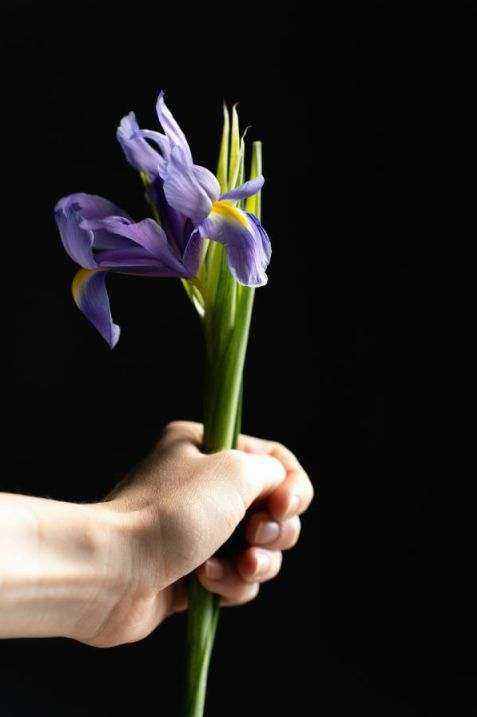 Same-day bouquets