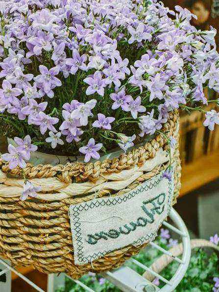 Wedding bouquets
